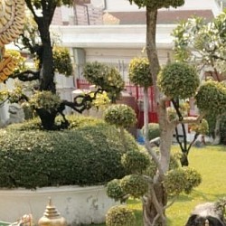 ภาพนี้รับลูกค้าชาวญี่ปุ่นทัวร์